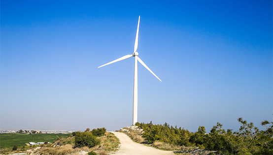 禁止在生態(tài)功能重要區(qū)林地建風電場