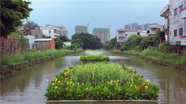 綠色發(fā)展立潮頭——廣東污染防治攻堅戰(zhàn)綜述